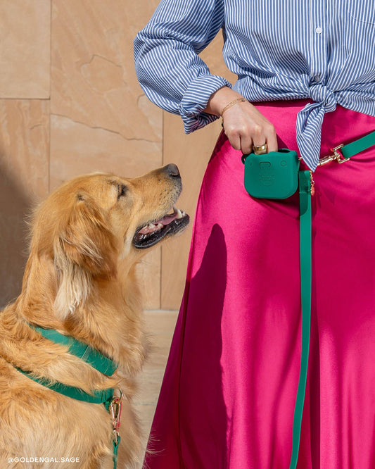 Sunny Tails - Meadow Green Snap Dog Treat Pouch