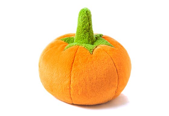 Play Pet Brands - Garden Fresh - Pumpkin