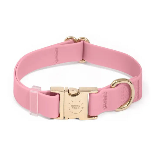 Sunny Tails Collar